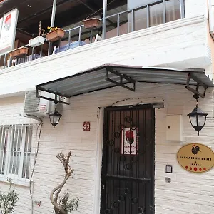 Rooster Hostel